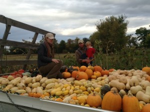 Hay wagon with winter squash