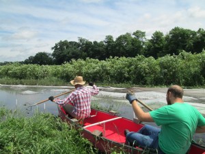 A light-hearted canoe trip in the Asian greens