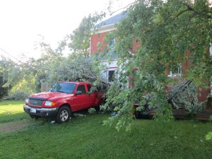 Power lines and massive branch on the farm truck